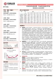 新能源电力设备周观察:特高压规划超预期,风电供应链复苏明显