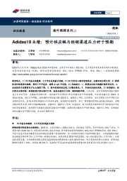 纺织服装：海外跟踪系列二-Adidas19业绩：预计供应链与经销渠道压力好于预期