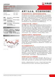 有色金属：疫情下众生相，有色控风险找确定