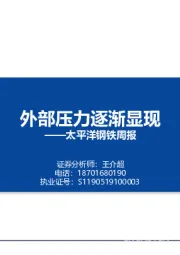 钢铁周报：外部压力逐渐显现