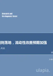 非银行金融行业周报：定增战投细则落地，流动性改善预期加强