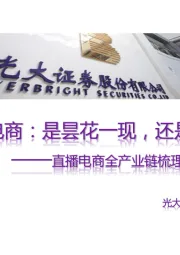 直播电商全产业链梳理&成长持续性分析:直播电商:是昙花一现,还是星火燎原?