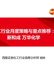 化工行业月度策略与重点推荐：新和成 万华化学