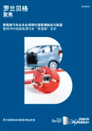 新能源汽车全生命周期价值管理挑战与展望：暨2019中国新能源汽车“驾值榜”发布