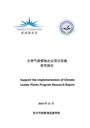 新能源行业：支持气候领袖企业项目实施研究报告