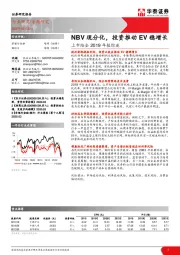 上市险企2019年报综述：NBV现分化，投资推动EV稳增长