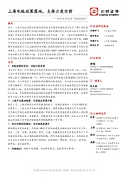汽车行业点评：上海电桩政策落地，支持力度空前