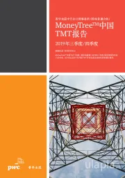 MoneyTreeTM中国TMT报告：2019年三季度/四季度