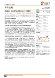 稀有金属：稀土磁材，战略品种的短期扰动与中长期复苏