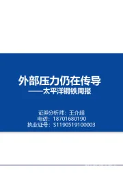 钢铁周报：外部压力仍在传导