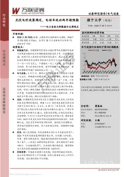 电力设备与新能源行业周观点:光伏电价政策确定,电动车延补两年超预期