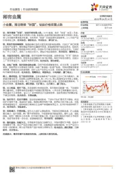 稀有金属行业研究周报：小金属：南非继续“封国”，钴盐价格有望止跌