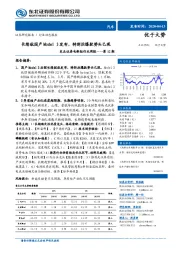 电新组行业周报——第12期：长续航国产Model3发布，特斯拉爆款势头已现