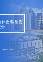 2020年中国产业综合体市场前景及投资研究报告