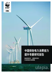 中国绿色电力消费能力提升专题研究报告