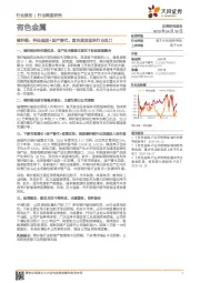 有色金属行业深度研究：碳纤维：科技强国+国产替代，黑色黄金迎来行业风口