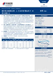 煤炭石化行业周报：煤价易企稳难反弹，6月油价有望结束于35美元/桶以上