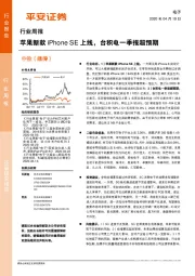 电子行业周报：苹果新款iPhone SE上线，台积电一季报超预期