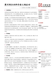 石油化工行业周报：聚丙烯拉丝料价格大幅波动