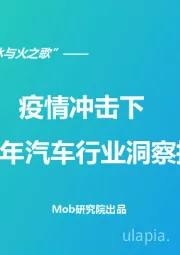 汽车行业的“冰与火之歌”——疫情冲击下2020年汽车行业洞察报告