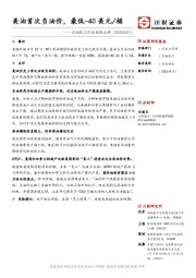 石油化工行业动态点评：美油首次负油价，最低-40美元/桶