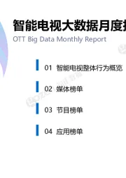 电子行业：智能电视大数据月度报告