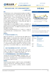 电新行业点评：新能车退坡符合预期，CATL在特斯拉渗透率有望提升