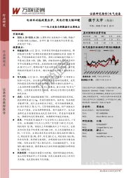 电力设备与新能源行业周观点：电动车补贴政策出炉，风电行情大幅回暖