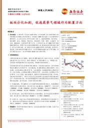 计算机行业周报：板块分化加剧，优选高景气领域作为配置方向