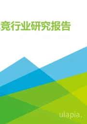 2020年中国电竞行业研究报告