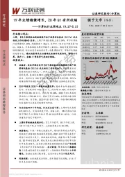 计算机行业周观点：19年业绩稳健增长，20年Q1有所收缩