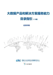 大数据产品和解决方案服务能力目录指引（1.0版）