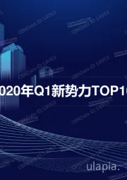 2020年Q1新势力TOP10-KOL大盘点