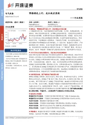 电气设备行业周报:预期领先上行,龙头效应显现