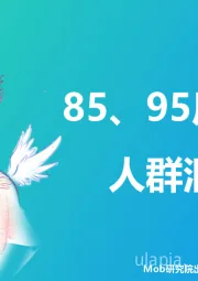 85、95后宝妈人群洞察