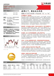 社会服务：2020年中国市场前瞻—新冠病毒“危”与“机”-疫情之下，彰显龙头风范