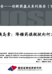 创新药盘点系列报告(13):胰岛素:降糖药旗舰驶向何方