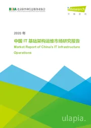 2020年中国IT基础架构运维市场研究报告