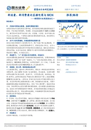 新零售行业深度报告之一：新流量、新消费兼论直播电商与MCN