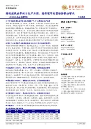 石化化工机械专题研究:持续建设世界级石化产业园,隐形冠军有望维持较快增长