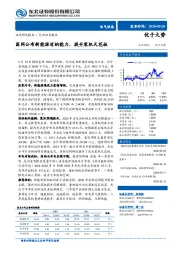 电气设备行业动态报告：国网公布新能源消纳能力， 提升装机天花板