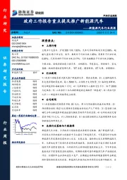 新能源汽车行业周报：政府工作报告重点提及推广新能源汽车