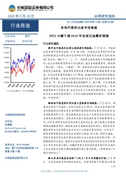 化工行业双周报2020年第10期(总第35期):多地开展危化品专项检查 OPEC大幅下调2020年全球石油需求预测