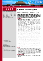 无模组化电池深度报告：无模组化降本路径清晰，磷酸铁锂有望复苏