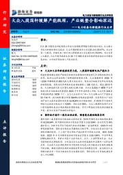 电力设备与新能源行业点评：大众入股国轩缓解产能瓶颈，产业链整合影响深远