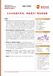 新能源汽车专题报告：巨头加快国内布局，参股国内厂商成新趋势