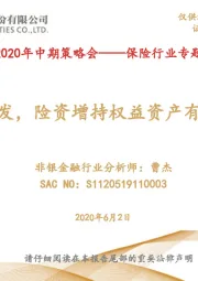 华西证券2020年中期策略会——保险行业专题策略报告：举牌频发，险资增持权益资产有望持续