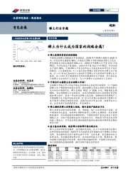 稀土行业专题：稀土为什么成为国家的战略金属？