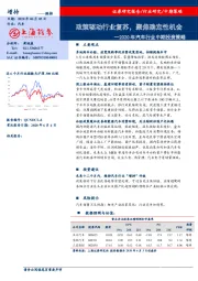 2020年汽车行业中期投资策略：政策驱动行业复苏，聚焦确定性机会