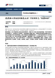 平价风电专题研究之一：还在担心风电没补贴怎么办？平价项目已“来势汹汹”